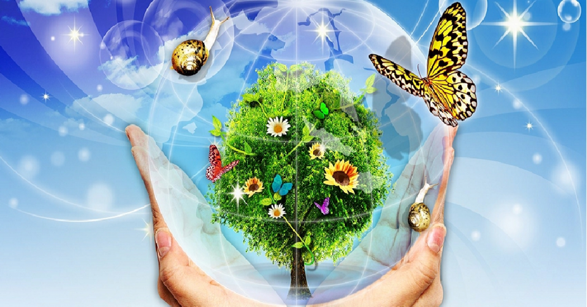 День экологических знаний: как сохранить природу?