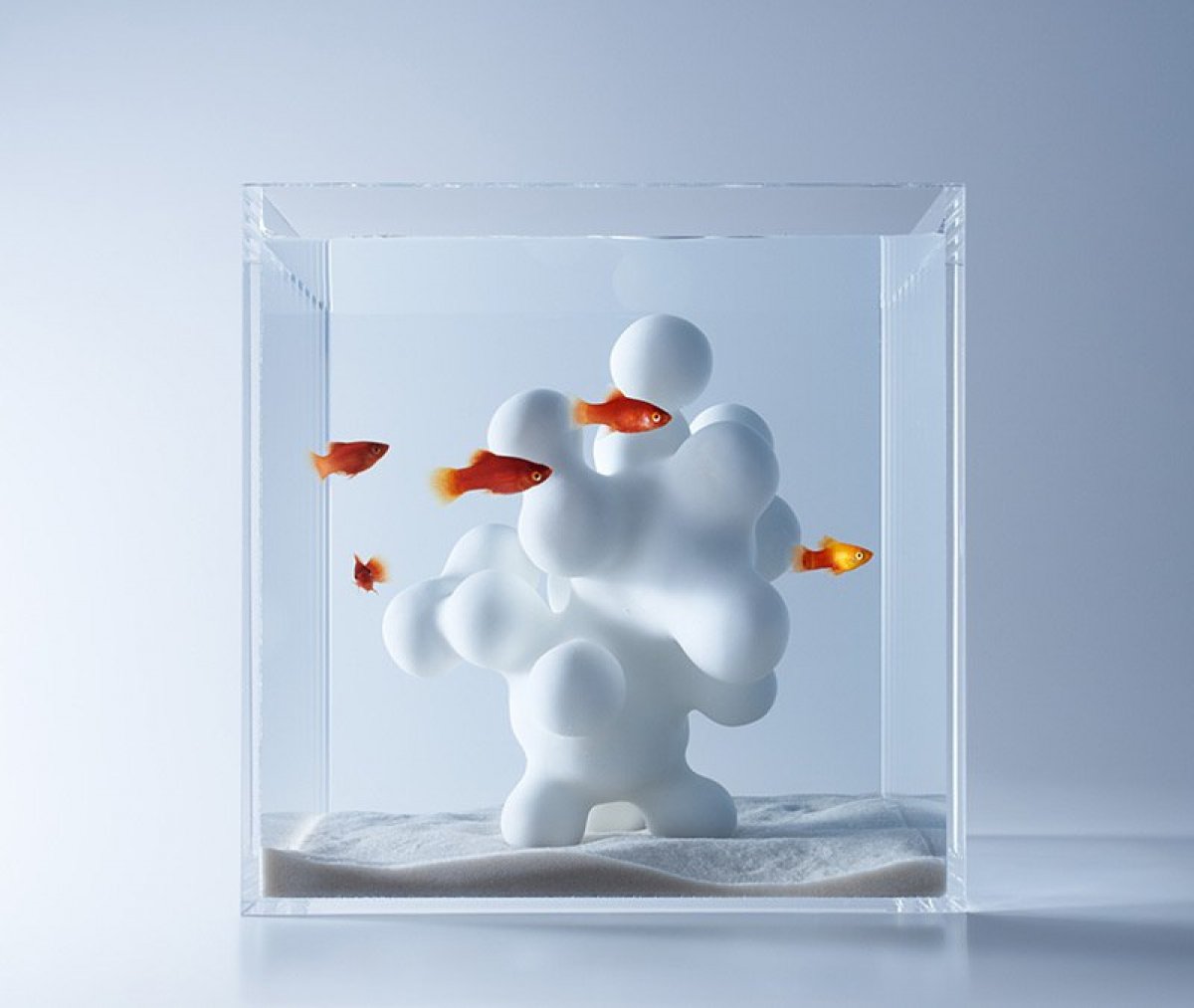 Минималистичные аквариумы, напечатанные на 3D принтере от Haruka Misawa