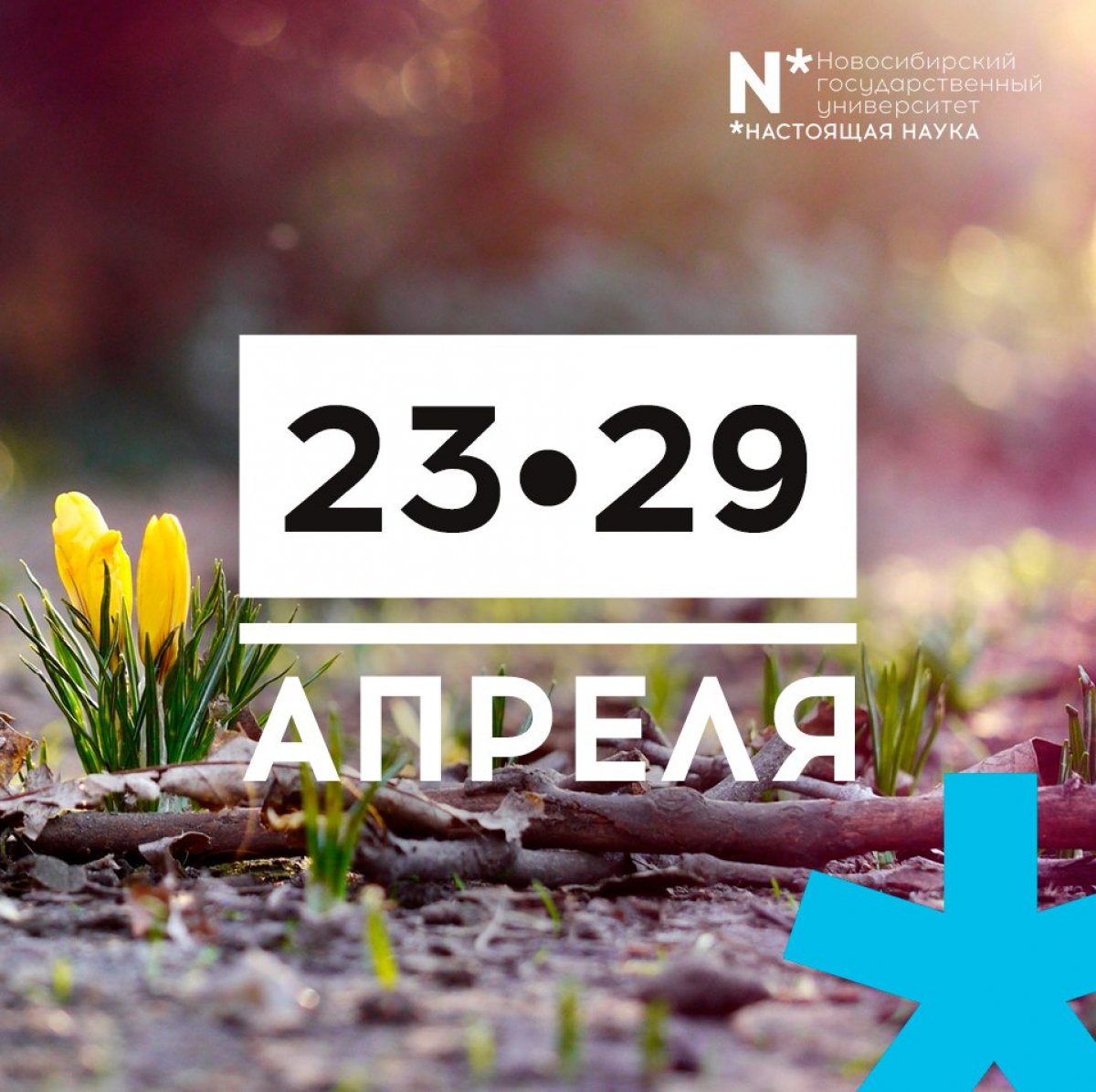 дайджест🤗 Не забывайте, что с апреля начинается МНСК-2018, а с 23 апреля в НГУ стартует