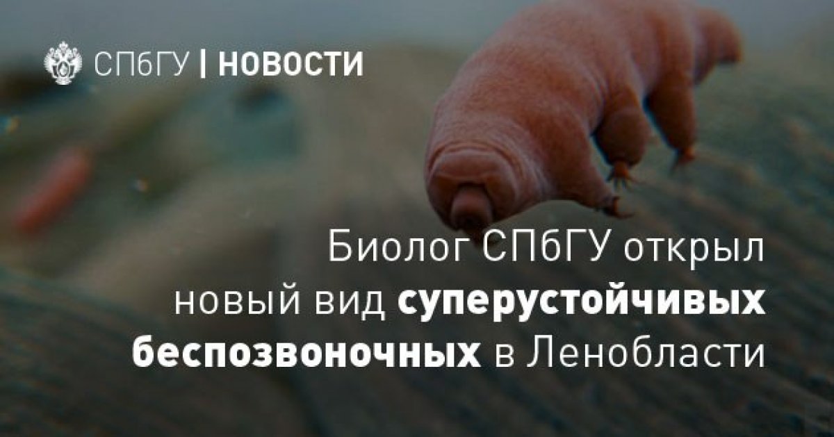 Думали, сегодня невозможно стать первооткрывателем многоклеточного существа? Нет ничего невозможного