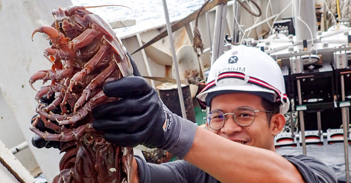 Огромного морского таракана обнаружили в Индийском океане