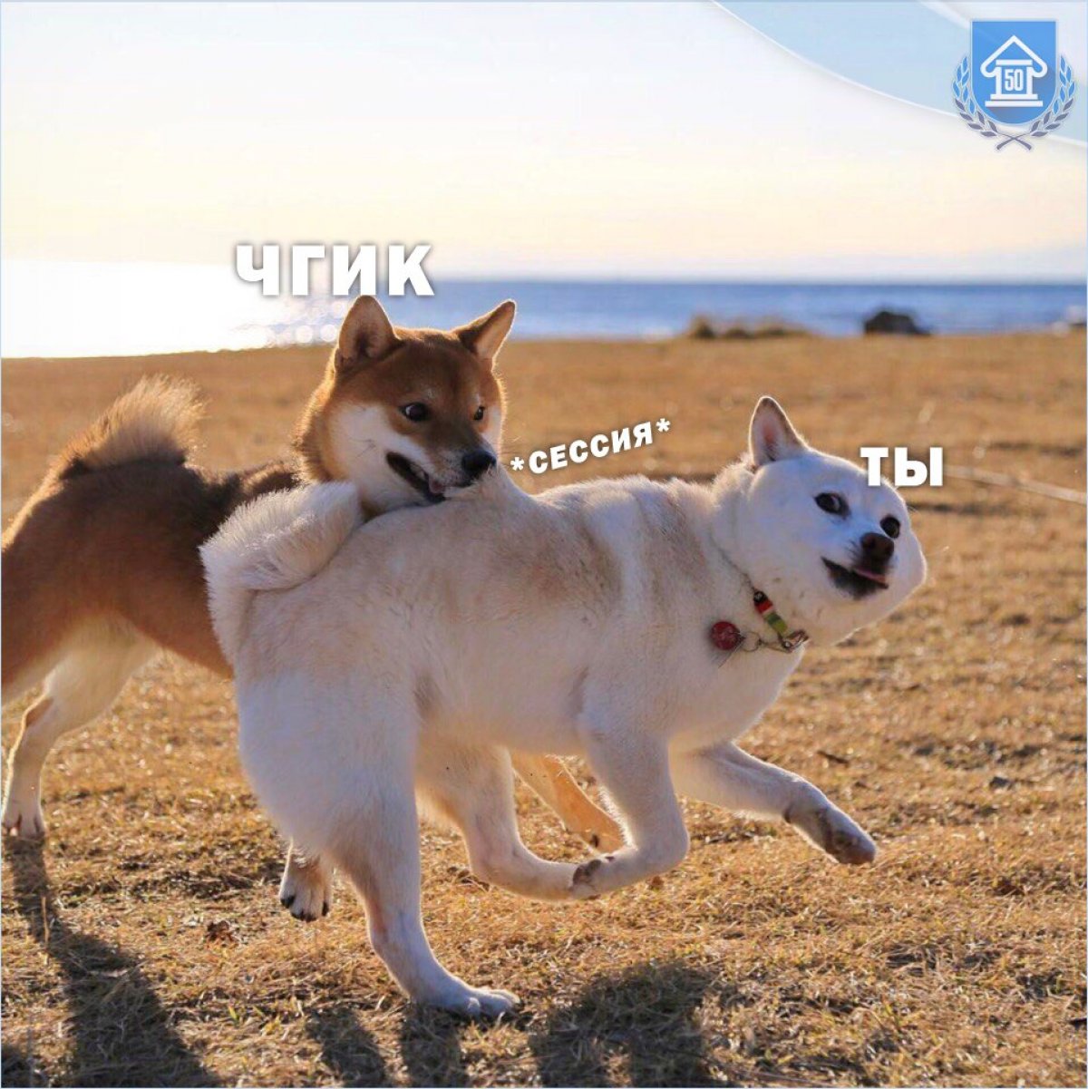 Готовы к сессии?