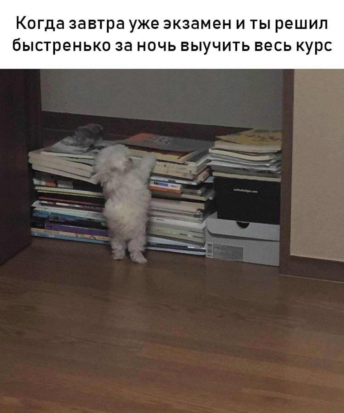 Новость от 06-06-2018