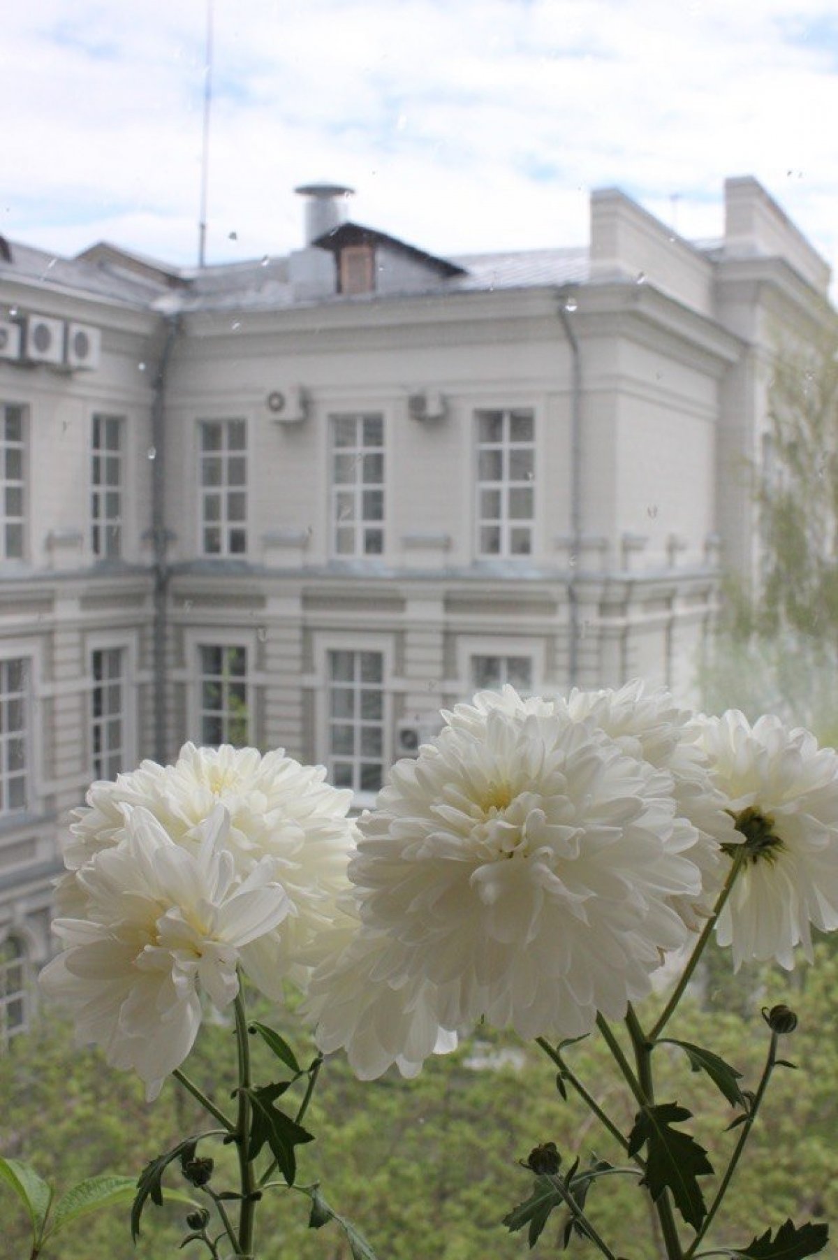 Когда на улице то, что есть, вот вам цветение в главном корпусе) А где у нас ещё красивые зеленые зоны? @tpunews