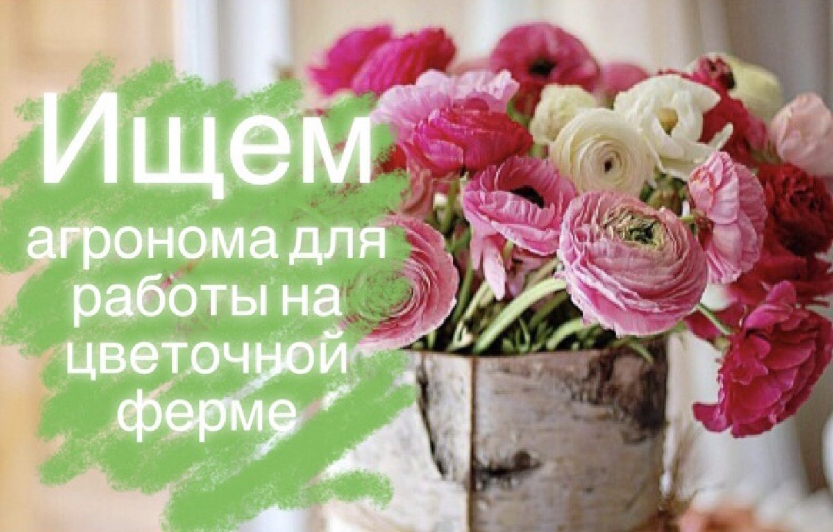 Можешь отличить ранункулюс от пиона? Не забываешь поливать домашние растения? Учишься на последнем курсе ТГПУ им. Л.Н.Толстого по специальности агроном или уже получил заветный диплом? Тогда эта вакансия для тебя!