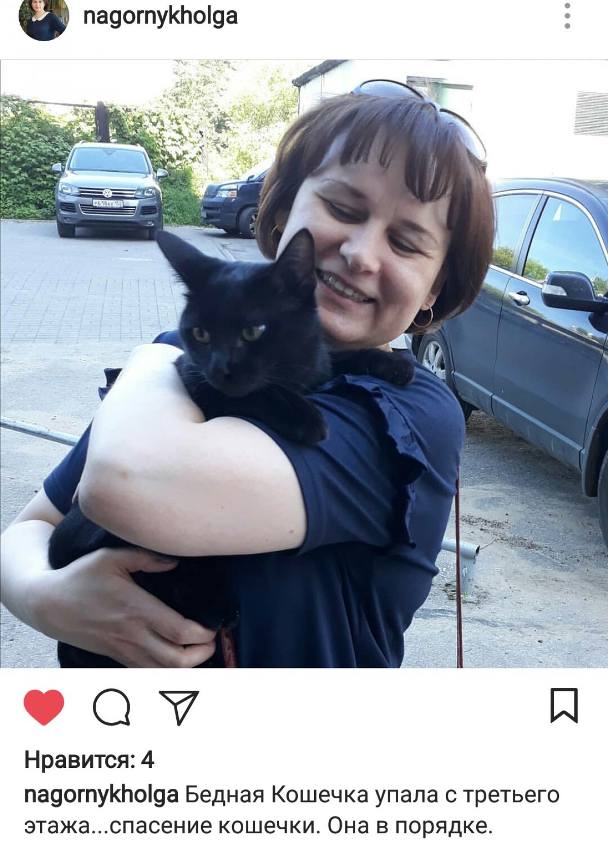 Преподаватели сегодня весь день спасают животных :)