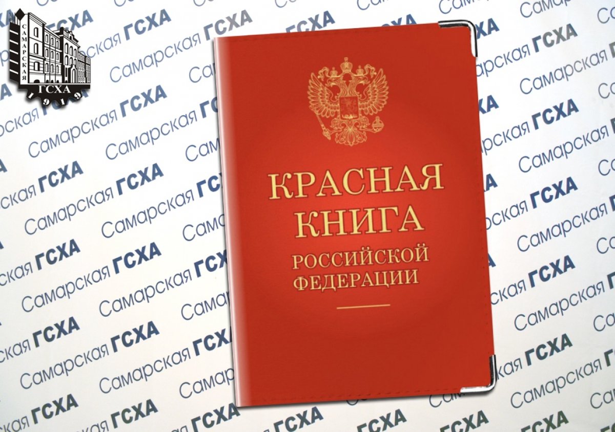 В России ужесточено наказание за продажу животных из «Красной книги»