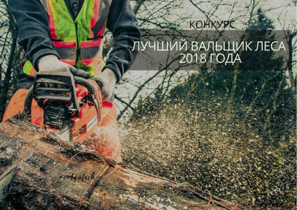 Конкурс профессионального мастерства «Лучший вальщик леса 2018 года» проводился министерством природных ресурсов, экологии и охраны окружающей среды РМЭ и Волгатехом.