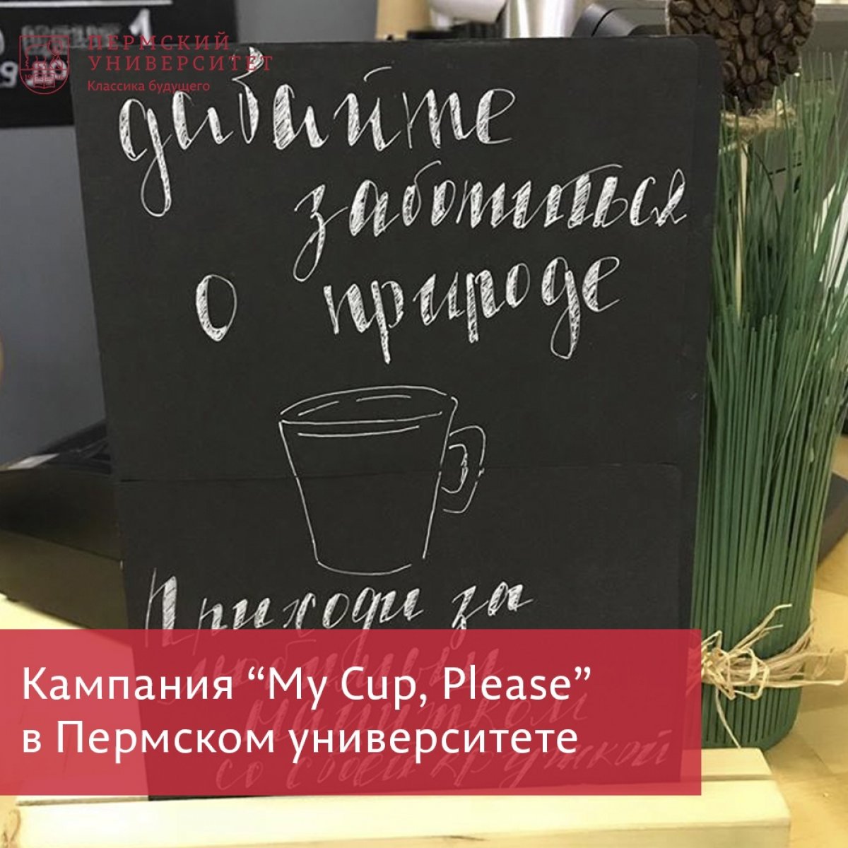 Акция "My Cup, Please" теперь и в Пермском университете