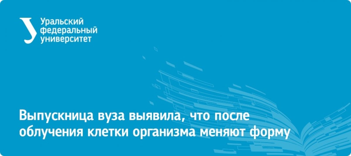 Магистр департамента биологии и фундаментальной медицины УрФУ Лина Алхаддад из Сирии выявила, как рентгеновское излучение влияет на клетки иммунной системы