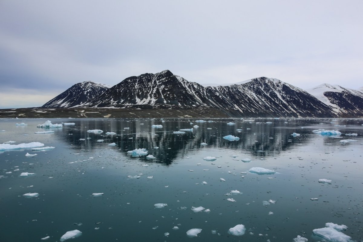 Зачем России нужно создавать новые виды морозостойкого топлива