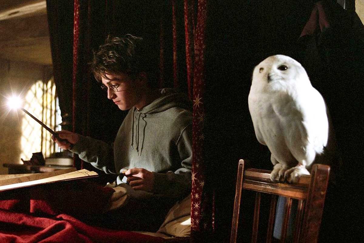 А вы знали, что студент МИФИ может держать в общежитии животное?