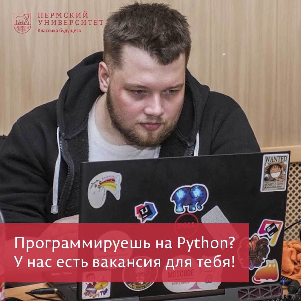 Программируешь на Python? У нас есть вакансия для тебя!