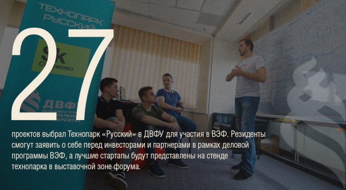 Технопарк «Русский» в ДВФУ выбрал проекты для презентации на Восточном экономическом форуме