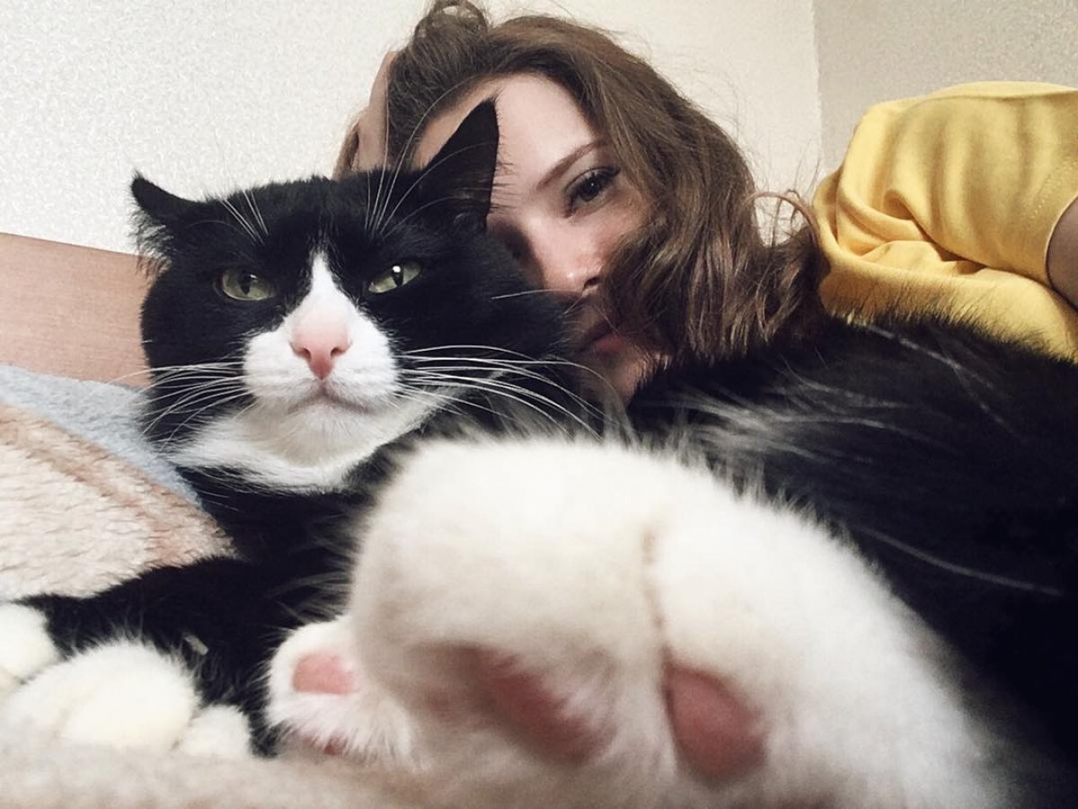 Котейки студентов СФУ😻
