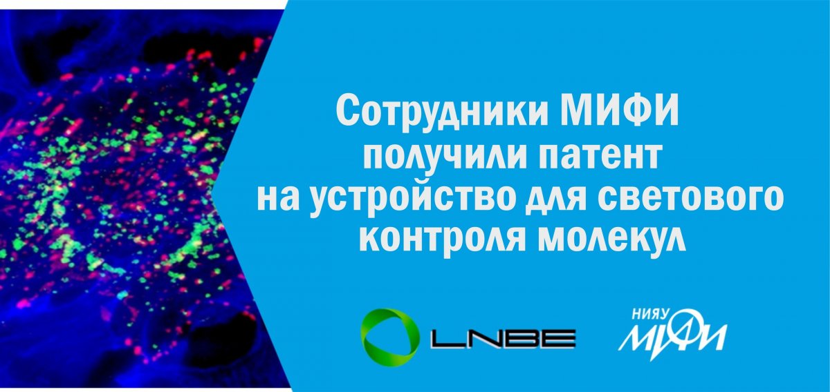 Сотрудники Лабораторий гибридных фотонных наноматералов (ЛГФН) и нано-биоинженерии