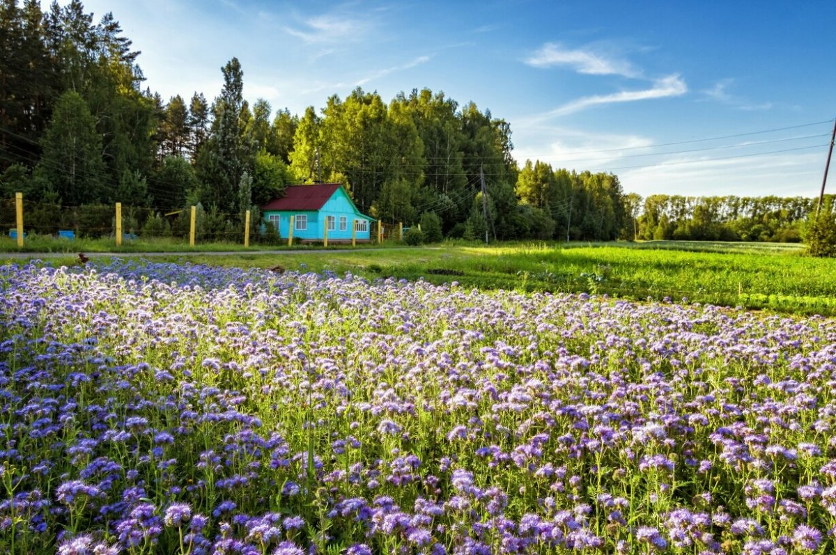 ☀☀☀В разгаре не только , но и в учебно-опытном хозяйстве 🌱🌸🍅🍏🌽🌾🚜🚛