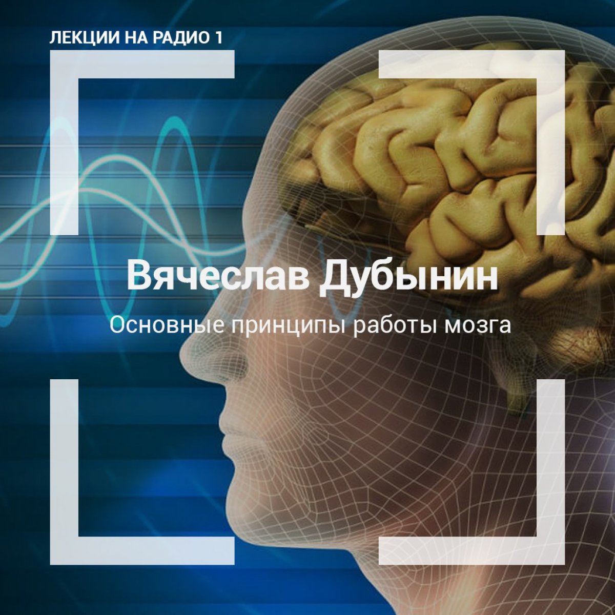 профессор биологического факультета МГУ Вячеслав Дубынин выступает на с лекцией: «Основные принципы работы мозга»: http://radio1.news