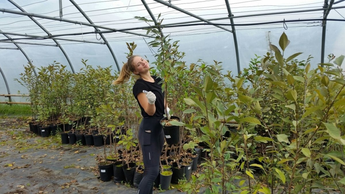 👌 В ожидании заветного посвящения в студенты первокурсники зря времени не теряют!