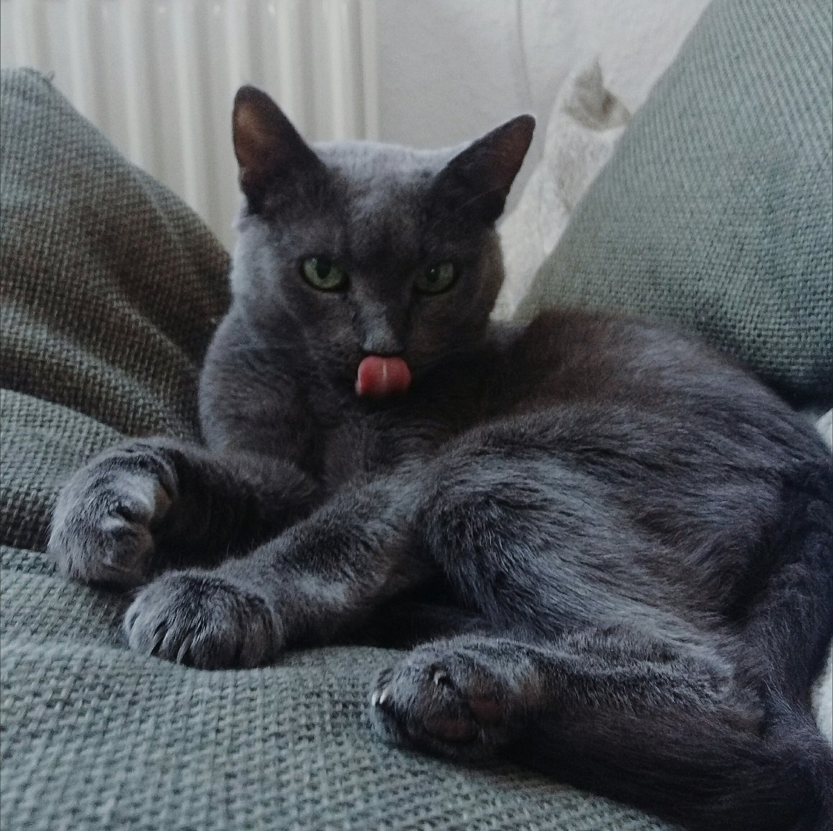 Привет, студент! А мы напоминаем, что у нашего университета есть свой Инстаграм⤵ Привет, студент! А мы напоминаем, что у нашего университета есть свой Инстаграм⤵