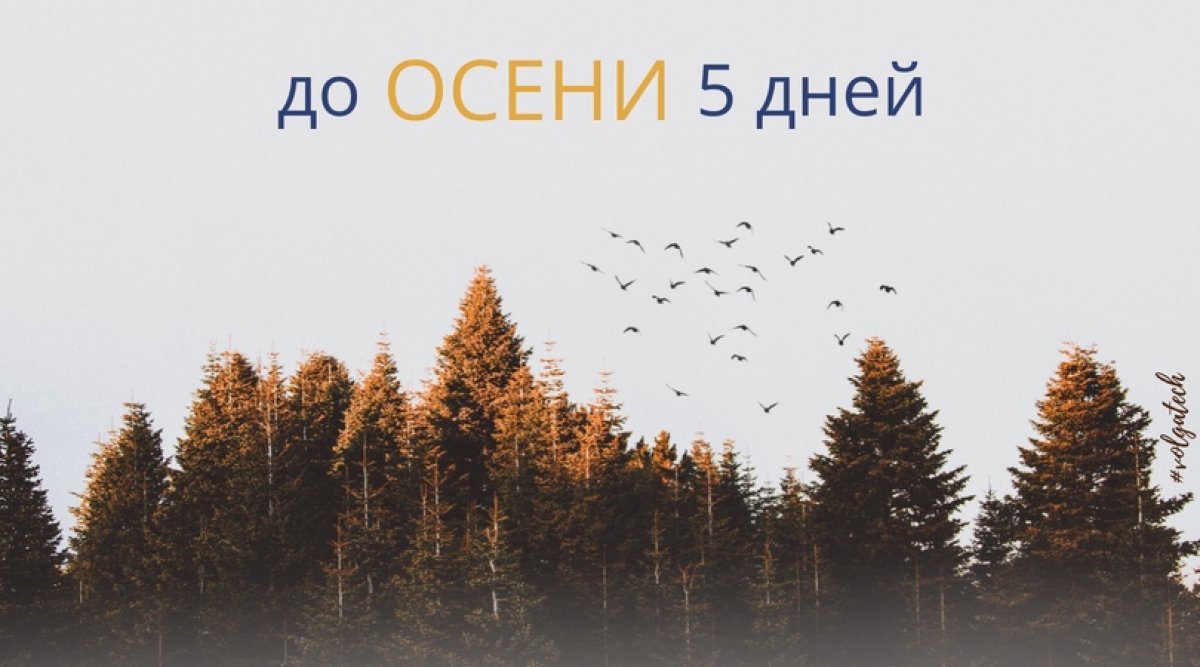 До осени осталось 5 дней. Знаешь, почему мы напоминаем? Мы хотим, чтобы ты сделал уходящие дни максимально запоминающимися и продуктивными. Начни прямо сейчас!