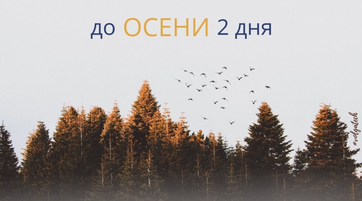 2 дня до осени, а значит осталось 2 дня до завершения приёма документов с оплатой обучения. Если хочешь, но не можешь решиться, торопись! Часики то тикают! 😉