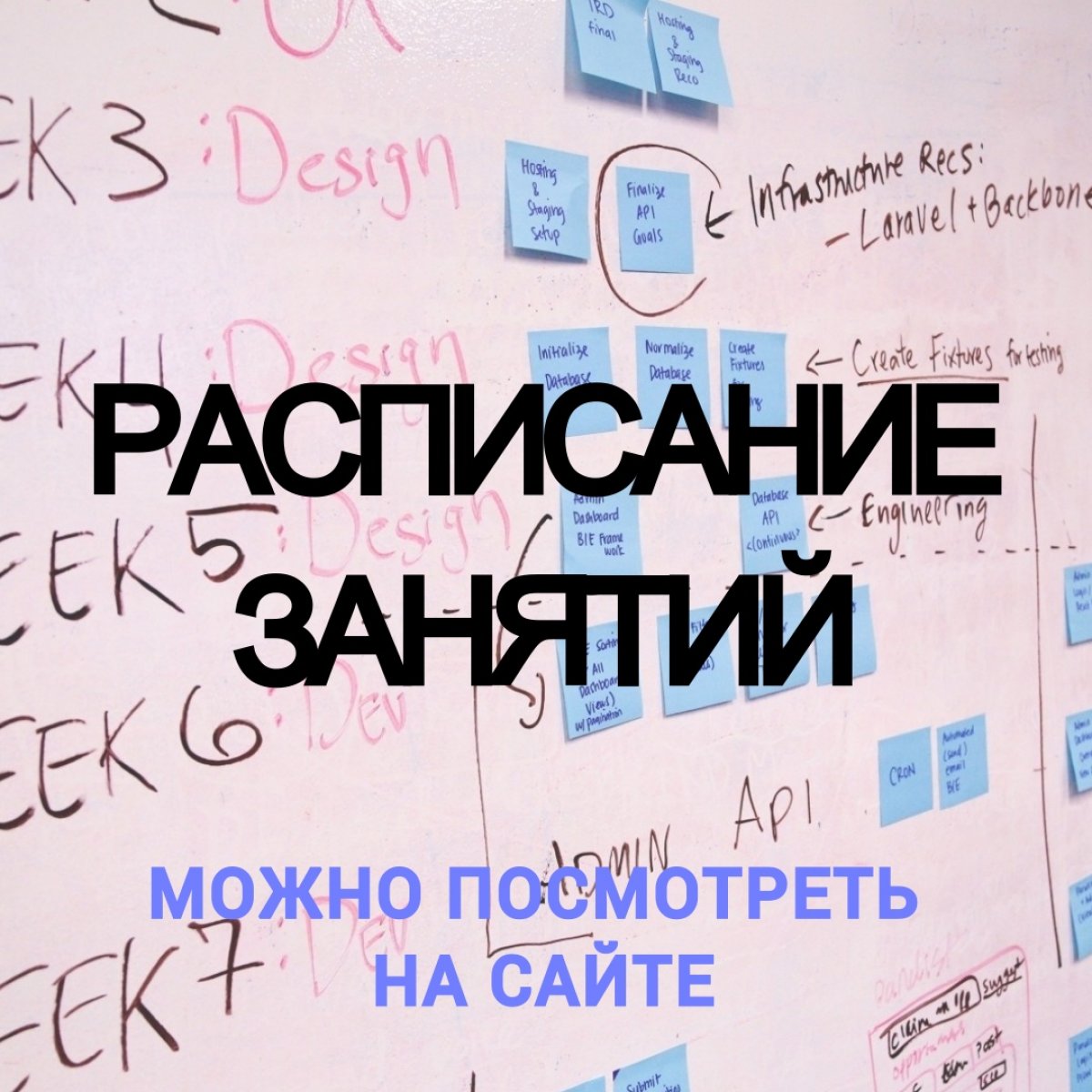 Когда на учёбу? К какой паре? Какая аудитория? – из года в год эти вопросы волнуют тысячи первокурсников 😊