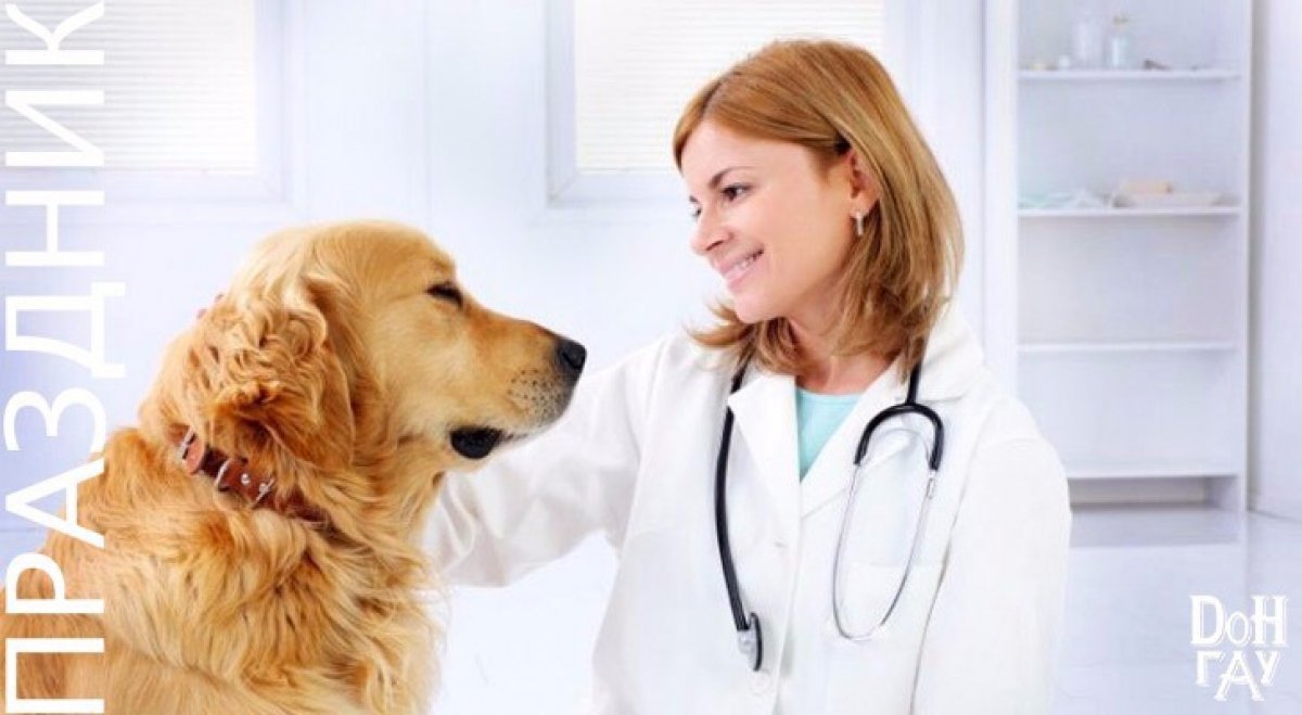 Поздравляем с Днём работников ветеринарной медицины! 👏🏻