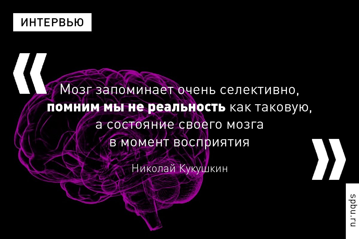 Мозг хранит в себе память — но где именно эта память находится, как она выглядит, из чего состоит? Чем больше известно ученым о памяти, тем больше между ними разногласий