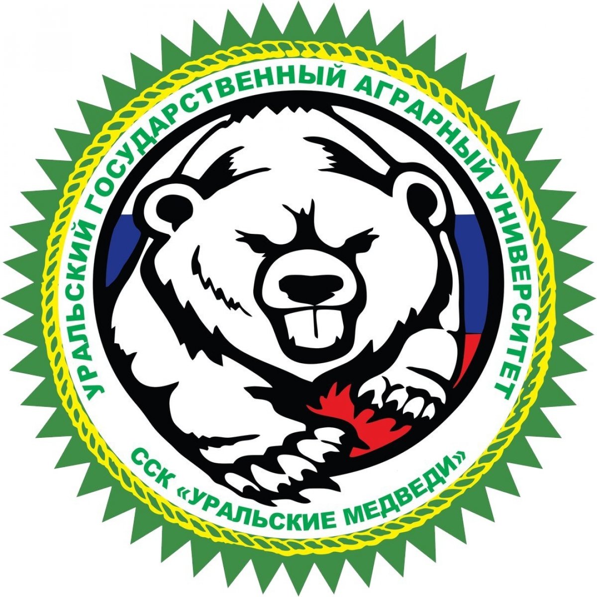 👉 Сегодня студенческого спортивного клуба🏃🤽🏻‍♀️🤼‍♂️🏋‍♀️⛹‍♀️🏆 "Уральские медведи" провели встречи с первокурсниками!🎉🎉🎉😃😃😃