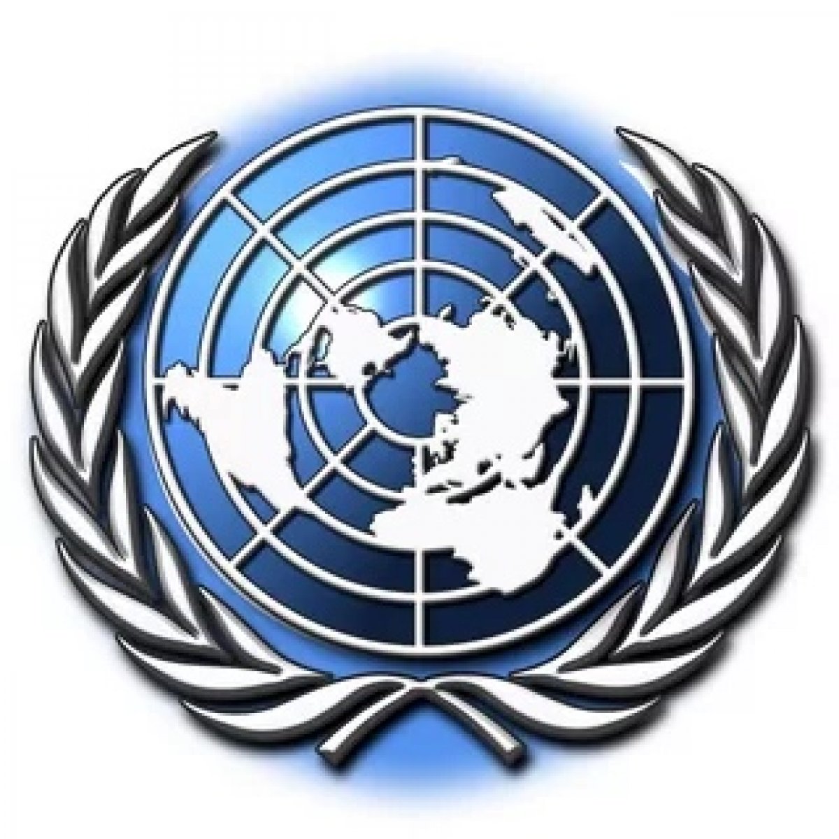Услуги оон. Генеральная Ассамблея ООН флаг. Организация Объединенных наций ООН флаг. Генеральная Ассамблея ООН эмблема. Организация Объединённых наций ООН эмблема.