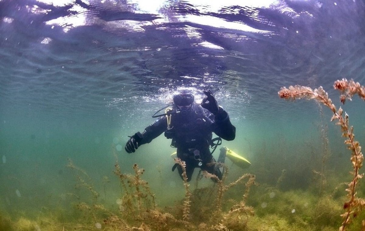 Этим летом мы много рассказывали о проекте дайверов ТПУ и ТУСУРа «Экологический подводный десант». Ребята проводили уборку в воде и на суши — на Сенной Курье