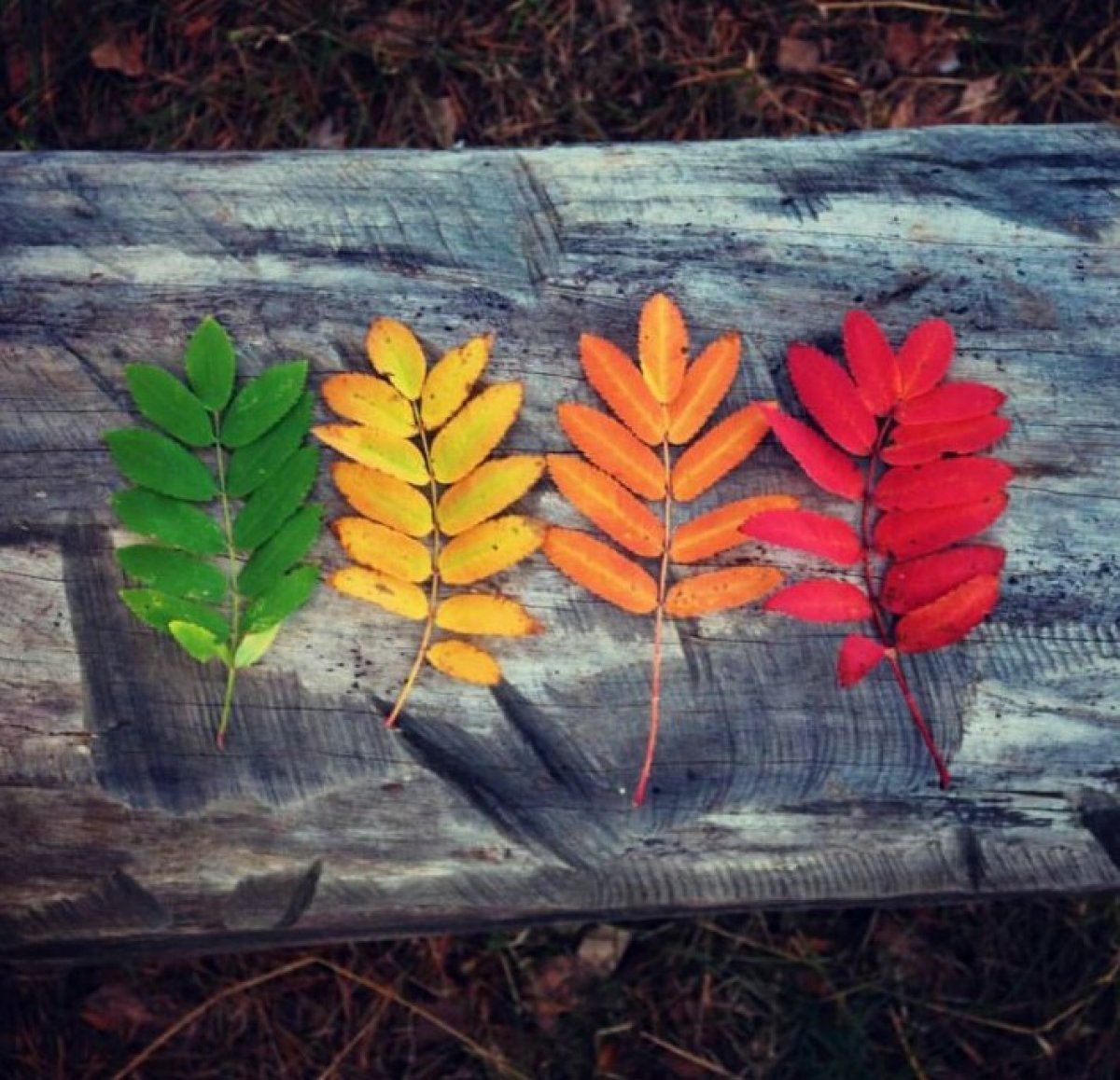 Студ Клуб ПИМУ объявил о начале кастингов на ежегодный фестиваль "Осенние дебюты"