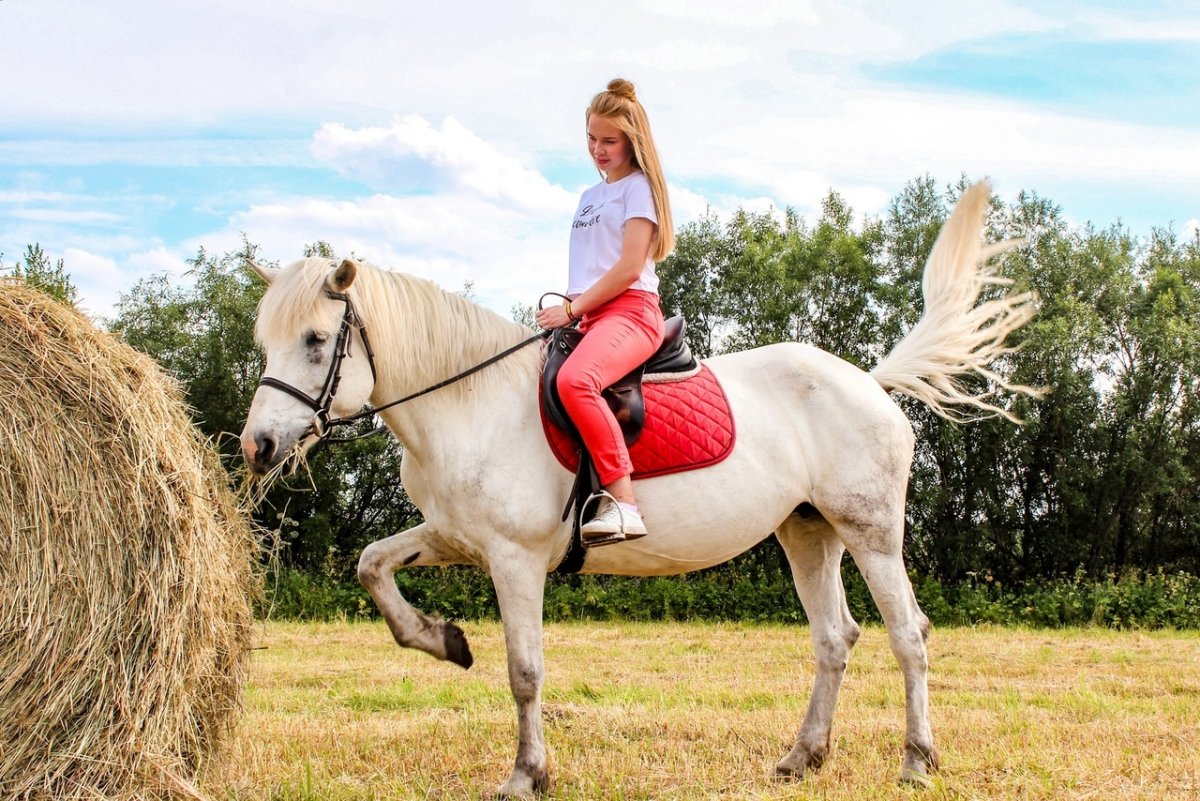 ☝У нас победитель☝