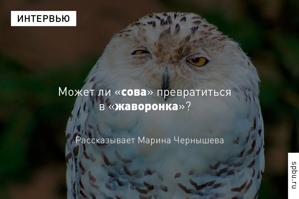 Световой день становится короче, появляются верные спутники осени — усталость, апатия, сонливость.