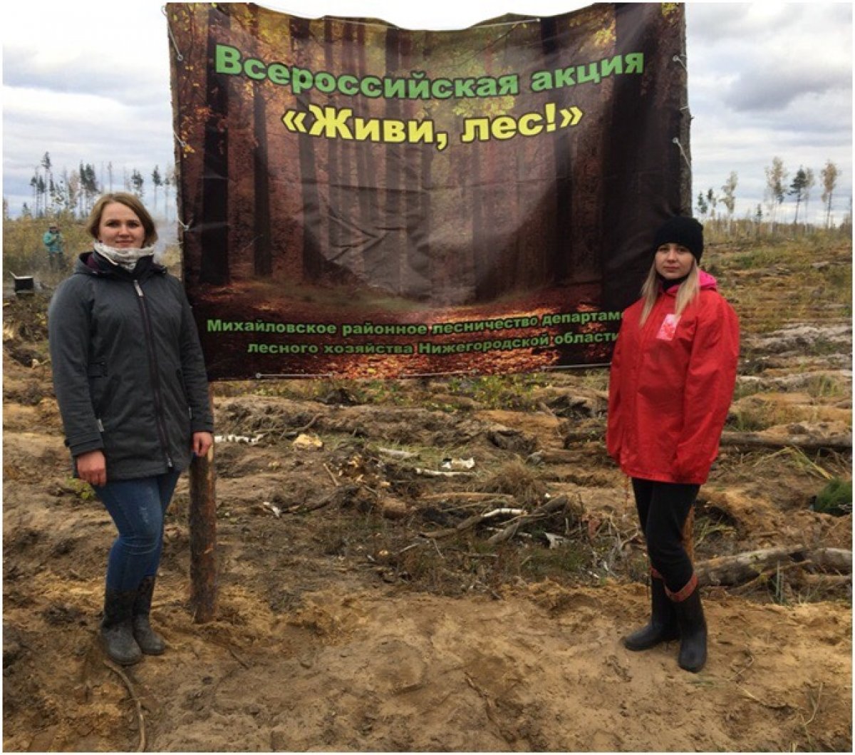 5 октября 2018 года в Михайловском районном лесничестве в рамках Всероссийской акции "Живи лес!" прошло мероприятие по посадке леса