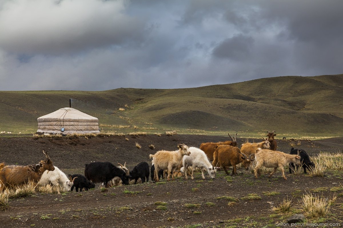 Монголия это страна, в которой можно проехать не одну сотню километров и не встретить ни одного человека. В ряде районов, таких как пустыни и высокогорья плотность населения достигает минимального порога — от 0,01 до 1 %