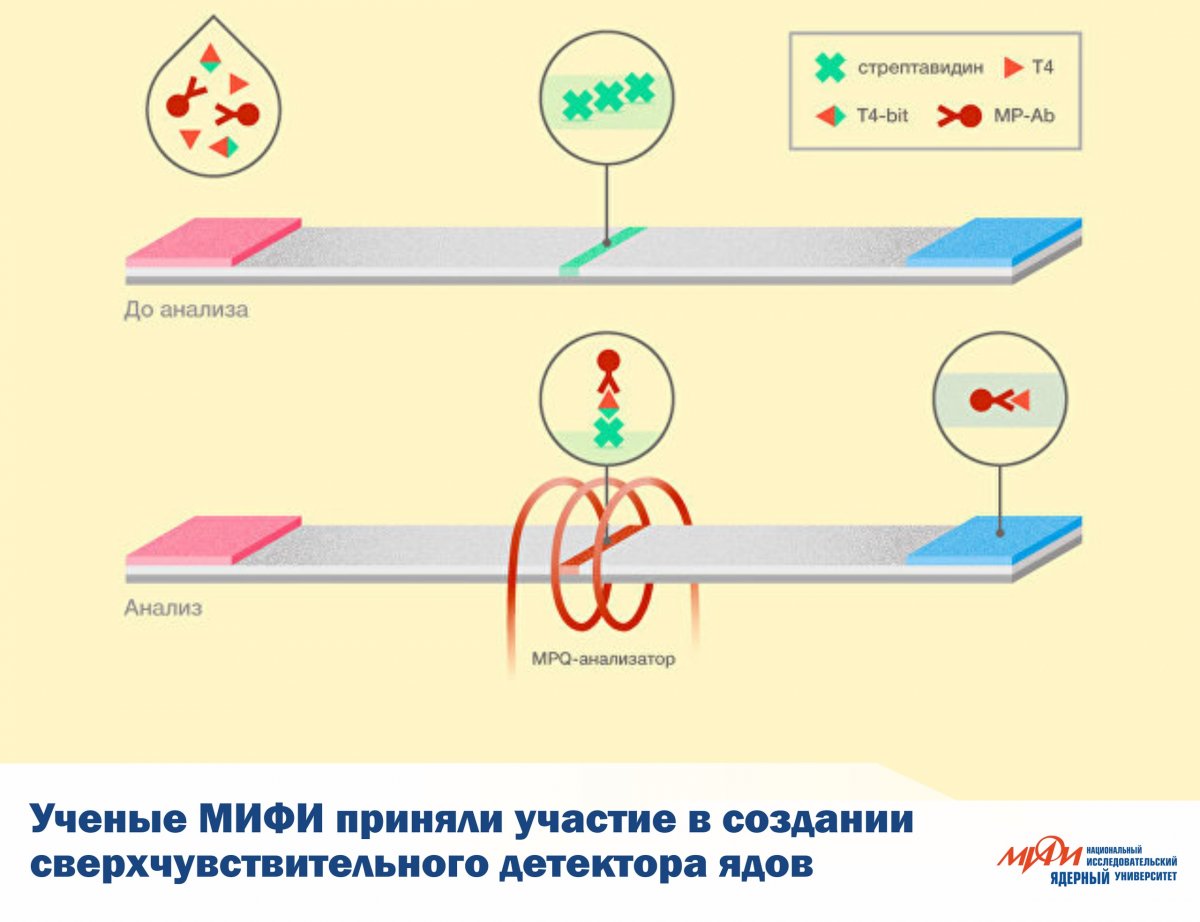 Сотрудники НИЯУ МИФИ приняли участие в создании установки для поиска следового количества ядов, гормонов, красителей и других молекул в воде, пище или биоматериалах.
