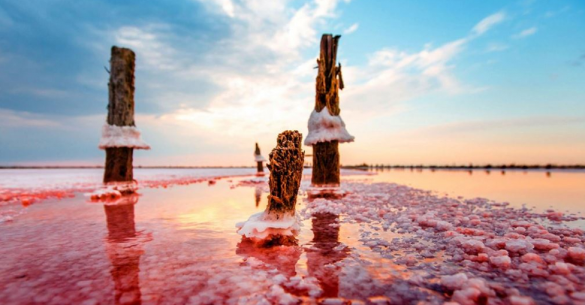 Учёные изучают грязевые озёра Ставропольского края