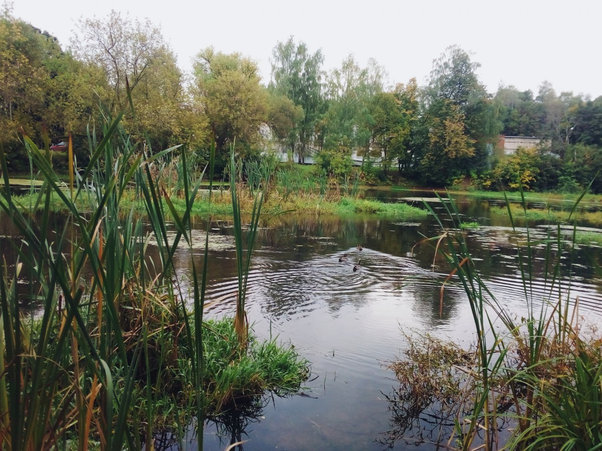 ✨🍁 сказка в кампусе🍁✨