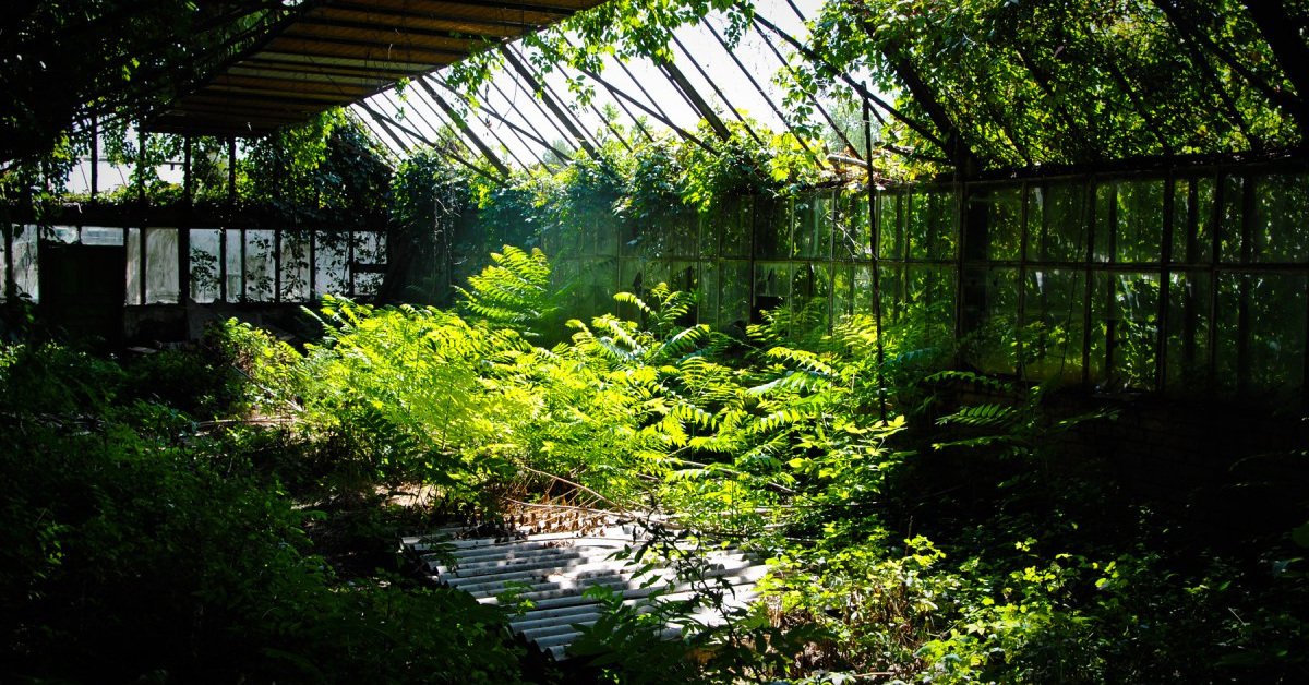 Ботанический сад ЮФУ получил федеральный статус
