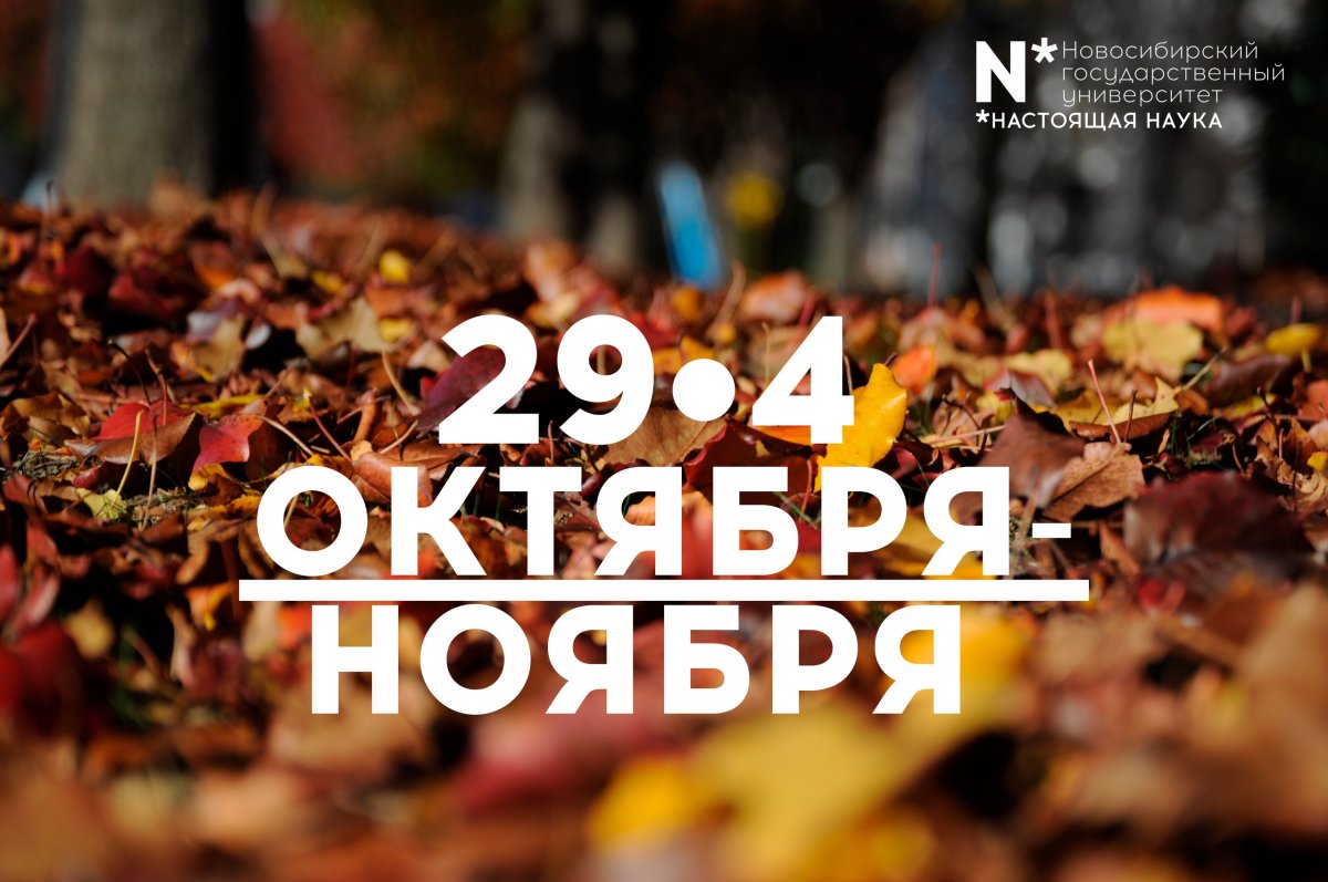 @nsu24 Новость от 29-10-2018