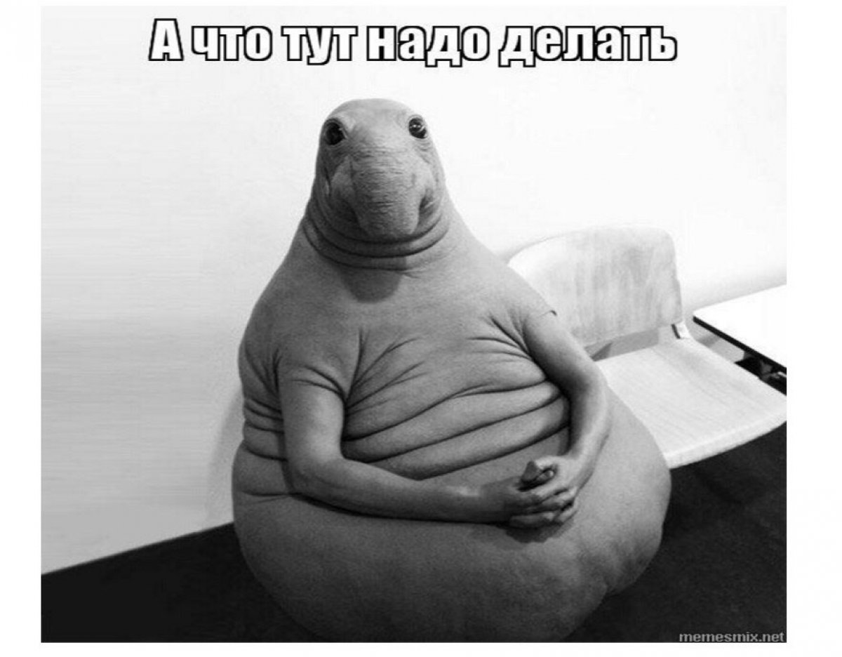 Хочешь узнать о профкоме больше?🧐