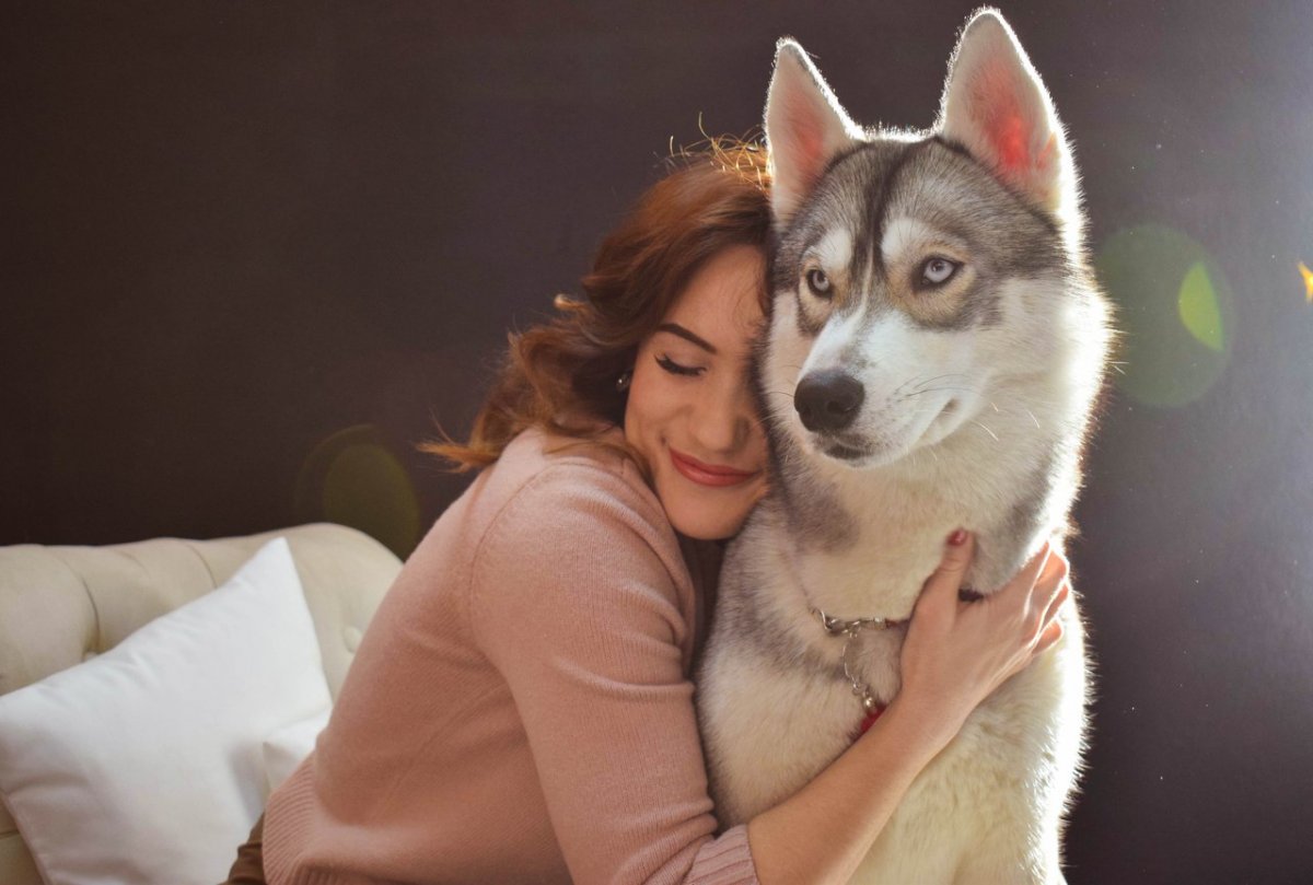 Привет, дорогой студент!👋