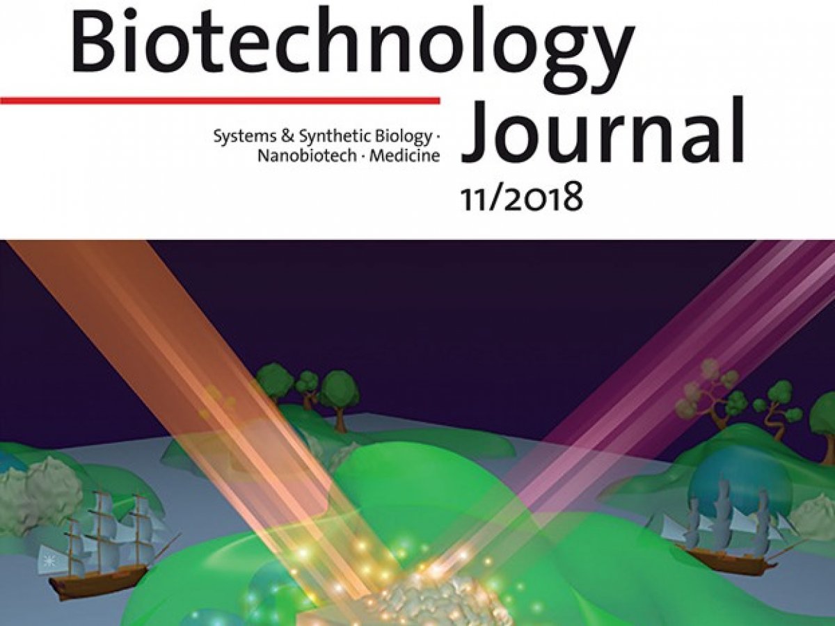 ГРАФИЧЕСКИЙ АБСТРАКТ СТАТЬИ СОТРУДНИКОВ СГУ ВЗЯЛИ НА ОБЛОЖКУ BIOTECHNOLOGY JOURNAL