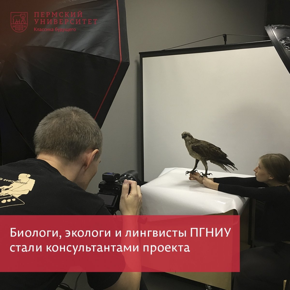 Биологи, экологи и лингвисты ПГНИУ стали консультантами проекта музея пермских древностей Биологи, экологи и лингвисты ПГНИУ стали консультантами проекта музея пермских древностей