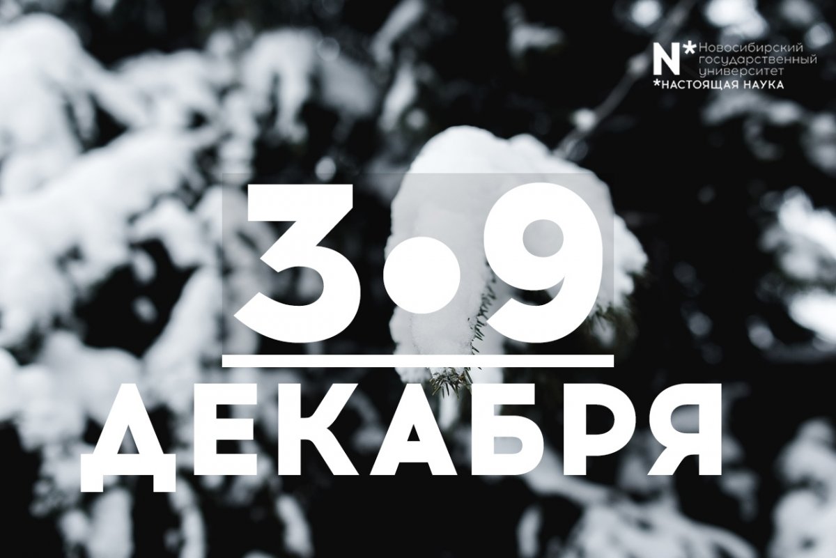 @nsu24 Новость от 03-12-2018