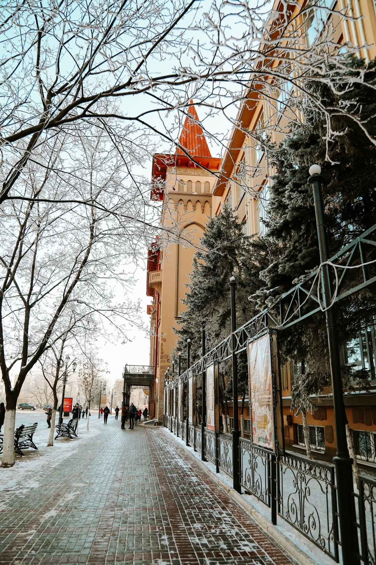 Фотографии зимней консерватории.