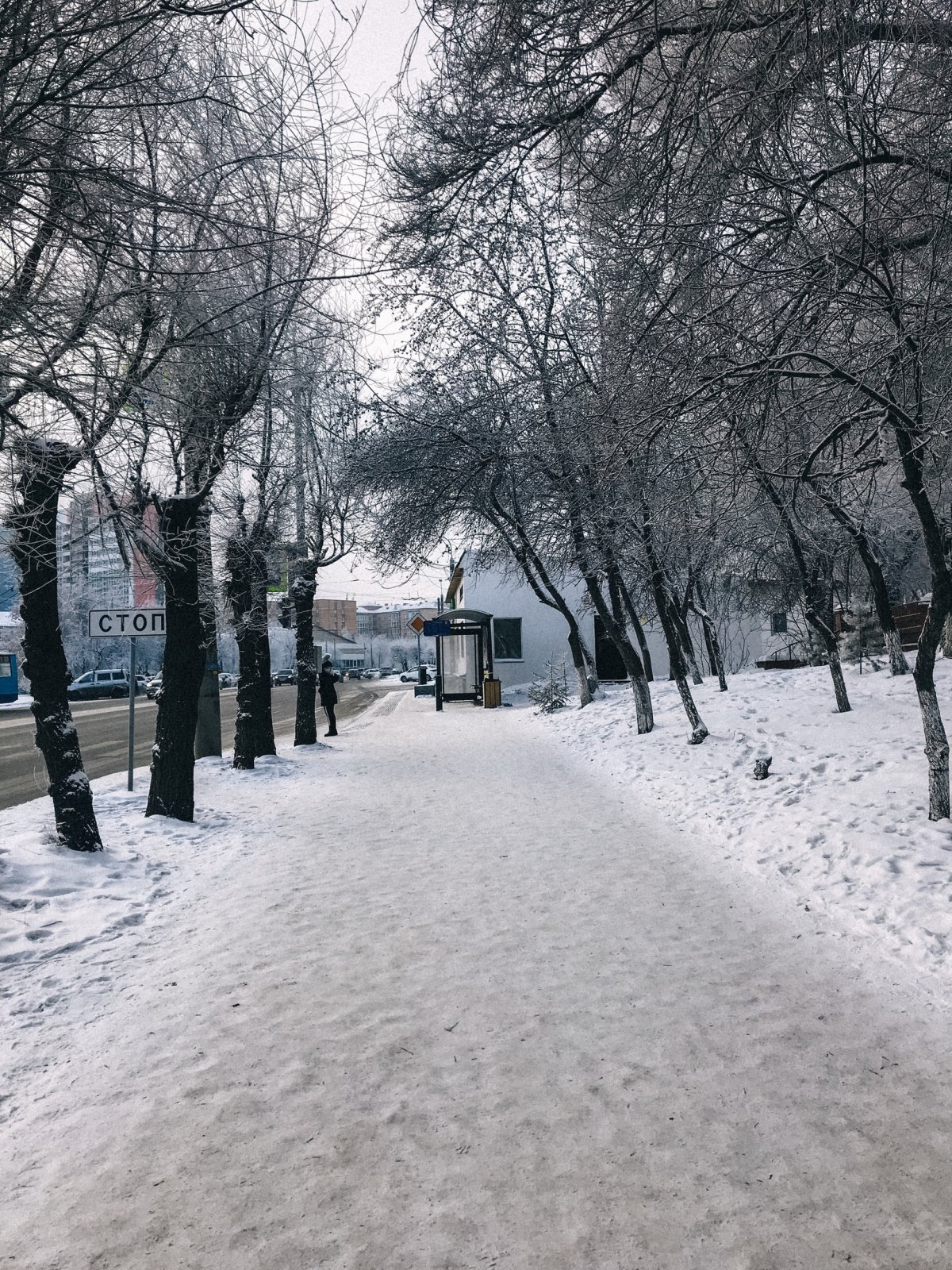 Морозный, нереальный Сибирский федеральный ❄ Алёна Скуратова не испугалась и щёлкнула для тебя эту зимнюю сказку