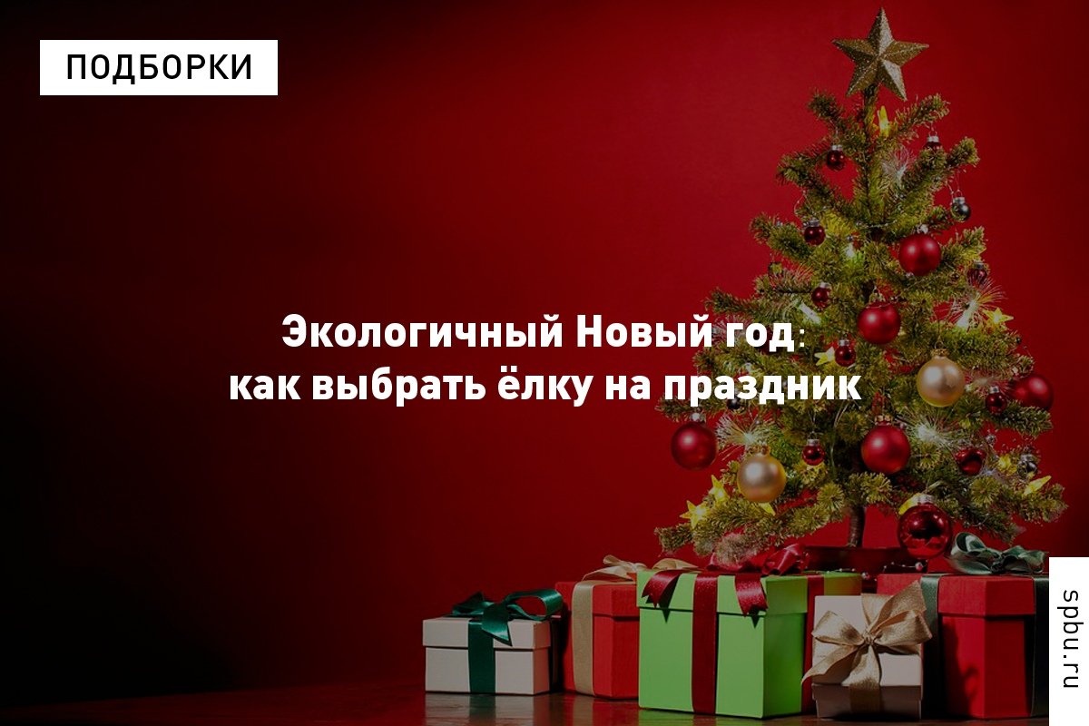 Экологи разбираются, какую ёлку выбрать – искусственную или живую: https://vk.cc/8OfjPl